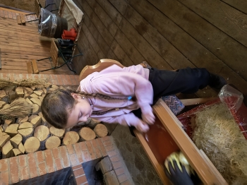 IMG_20251020_115851146