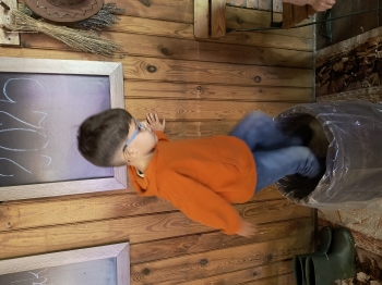 IMG_20251020_121335081