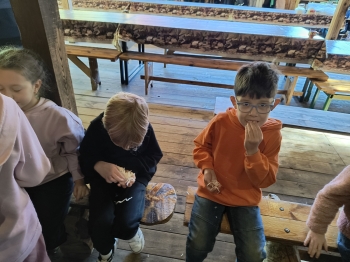 IMG_20251020_121636732_HDR