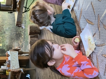 IMG_20251020_123845550_HDR