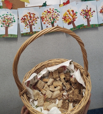 IMG_20251028_103204542 (1)