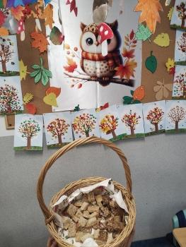 IMG_20251028_103204542