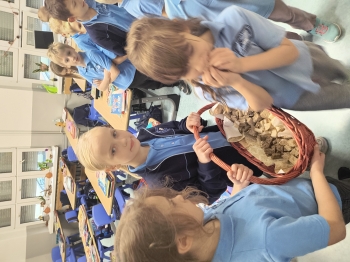 IMG_20251028_110326428_HDR