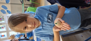 inbound4344077159794275144