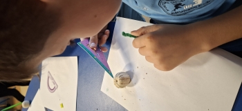 inbound6569779003499043212