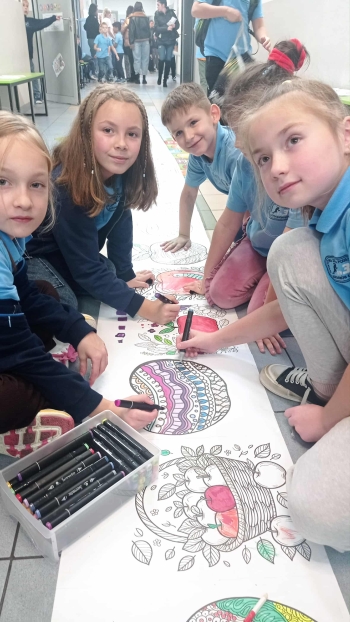 f070468d-9c99-46f6-87e0-d8526dc02d05.jfif