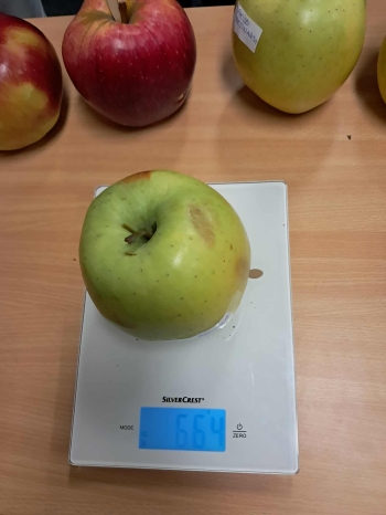 566592538_656872887502644_2660181372859194623_n