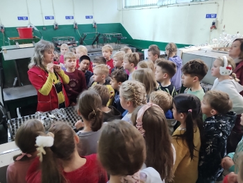 IMG_20251117_085127405