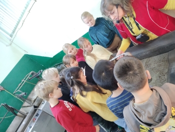 IMG_20251117_085922673