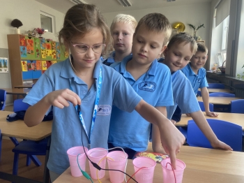 inbound4829424383852233630