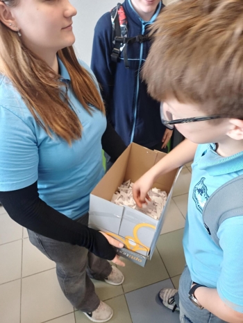 Multimedia (70).jpeg