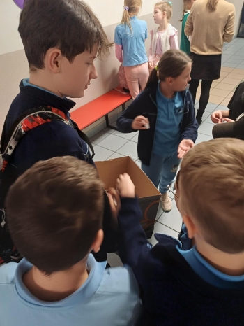 Multimedia (63).jpeg