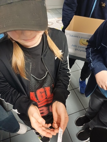 Multimedia (62).jpeg