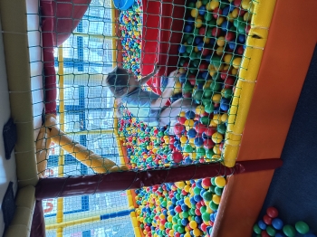 IMG_20251128_091237422_HDR