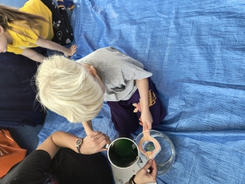 IMG_20251128_104306938_HDR