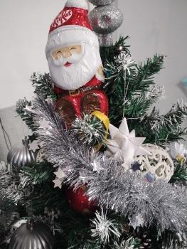 IMG_20251205_083208514_HDR