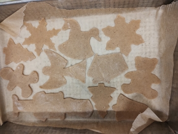 IMG_20251212_104111277