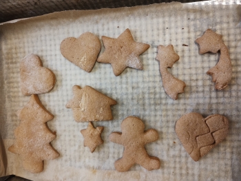 IMG_20251212_105103666