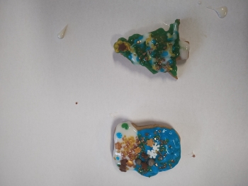 IMG_20251212_131528575