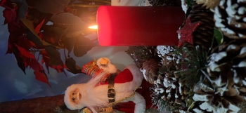 inbound3065538879977827912