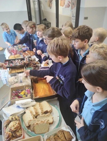 89370122-29fc-49d5-9dfe-99ad87f0593e.jfif