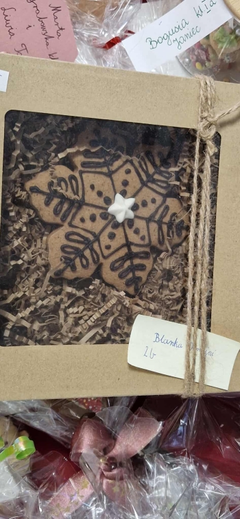 600402041_1379387106900266_8979526988421786161_n