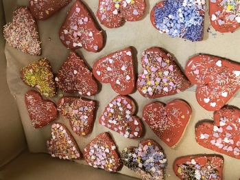 IMG_20260112_085720907_HDR