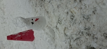 inbound6975624634045877242