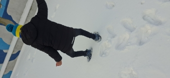 inbound7575454374609435476