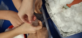 inbound7746747196423171472