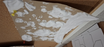 inbound6971482676131293445