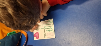 inbound3364557199626328461