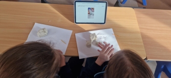 inbound6493361356886266068