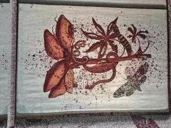 IMG_20260305_101542034_HDR