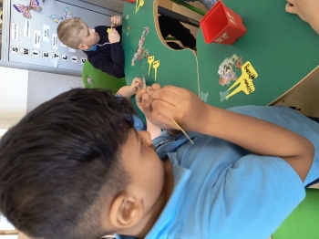 IMG_20260305_121450122