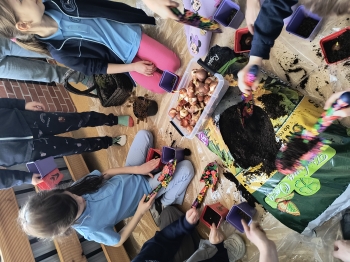 IMG_20260305_123536452_HDR