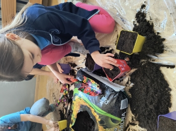 IMG_20260305_124316161_HDR