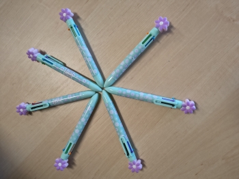 IMG_20260310_134205488_HDR