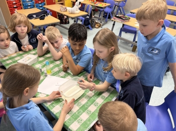 inbound8501366556879761015