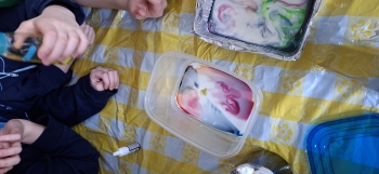 inbound7231582328820585140