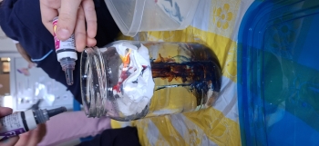 inbound2009927871064692478