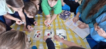 inbound2391354215196578466