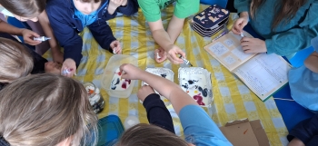 inbound9005021019546910007