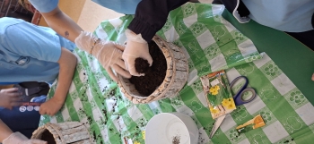 inbound7155267956843529645