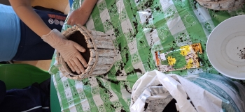 inbound4062171255905726527