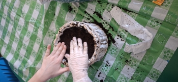 inbound2835849876540552495