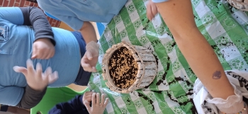 inbound8253454050471509897