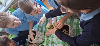 inbound3938514518327358108