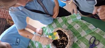 inbound6334292244097202235