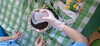 inbound7894655951300751006